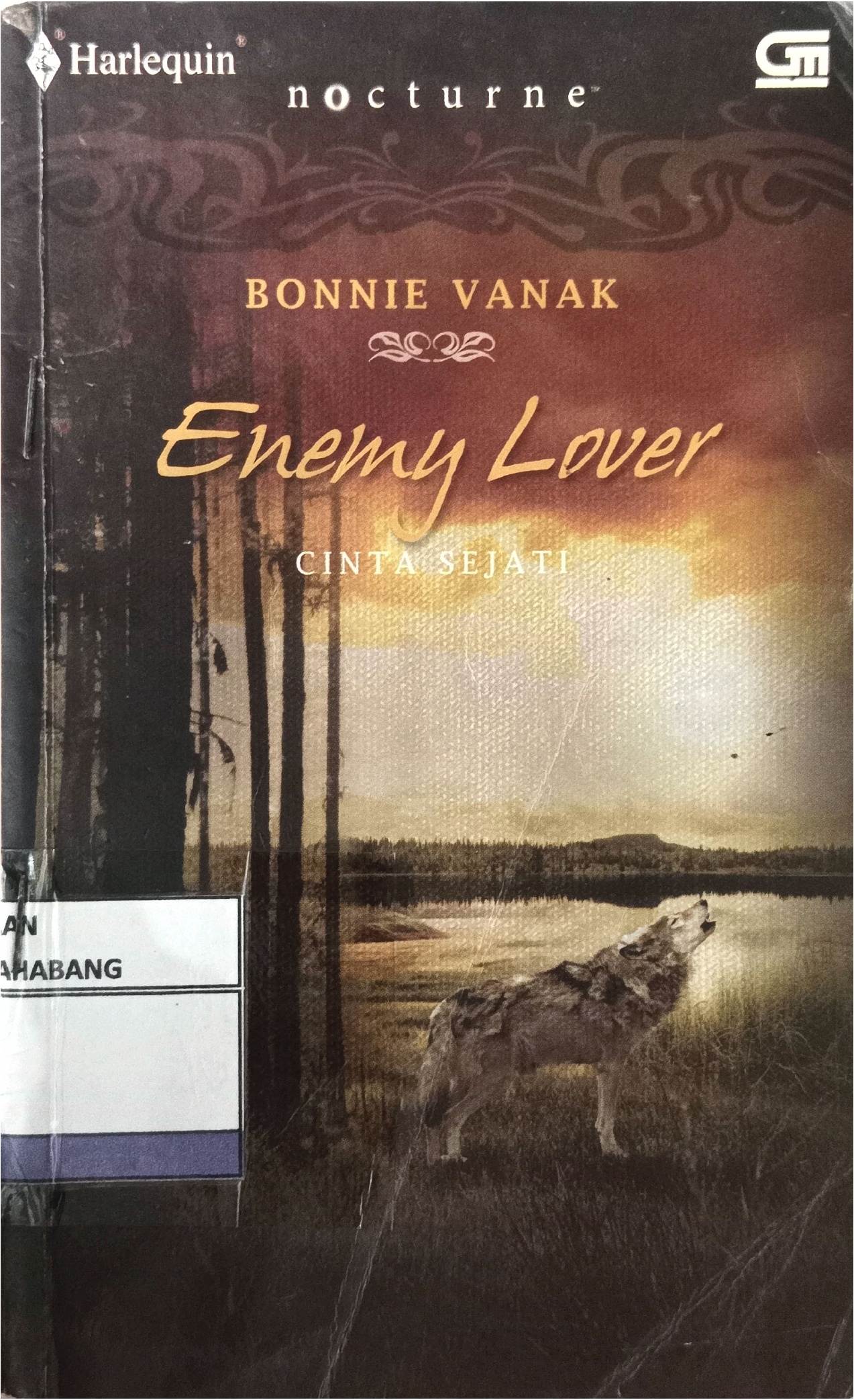 Enemy Lover
